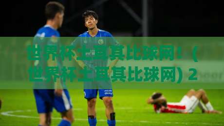 世界杯土耳其比球网！(世界杯土耳其比球网) 2026年观赛必备指南