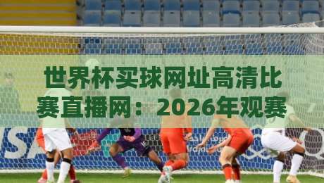 世界杯买球网址高清比赛直播网：2026年观赛指南与实用技巧