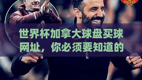 世界杯加拿大球盘买球网址，你必须要知道的(世界杯加拿大球盘)安全指南