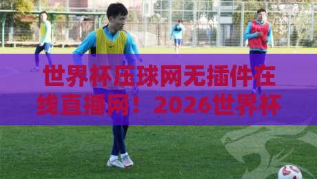 世界杯压球网无插件在线直播网！2026世界杯观赛新体验全解析