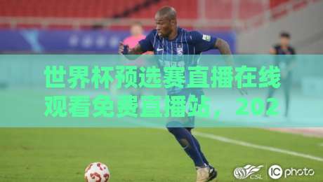 世界杯预选赛直播在线观看免费直播站，2026年这些平台让你不花一分钱！