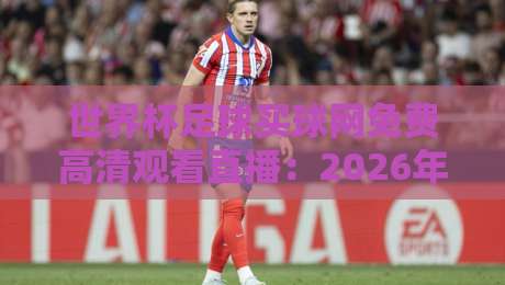 世界杯足球买球网免费高清观看直播：2026年最新观赛指南与合法渠道全解析