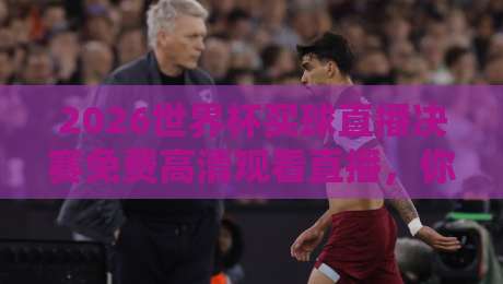 2026世界杯买球直播决赛免费高清观看直播，你准备好了吗？