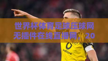 世界杯体育足球压球网无插件在线直播网，2026观赛新体验！