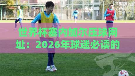 世界杯塞内加尔压球网址：2026年球迷必读的观赛与投注指南