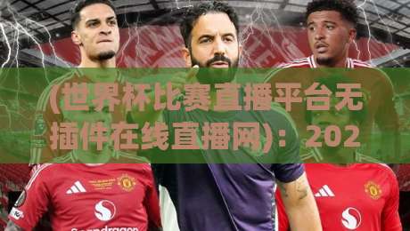 (世界杯比赛直播平台无插件在线直播网)：2026观赛新姿势，告别卡顿与插件麻烦