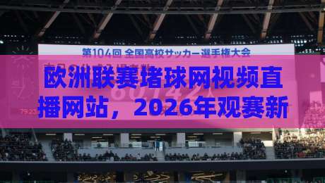 欧洲联赛堵球网视频直播网站,2026年观赛新选择——资深球迷的真实体验与避坑指南