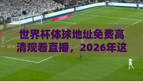 世界杯体球地址免费高清观看直播，2026年这些渠道靠谱吗？