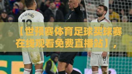 【世预赛体育足球买球赛在线观看免费直播站】, 2026年球迷必知的五大观赛攻略！