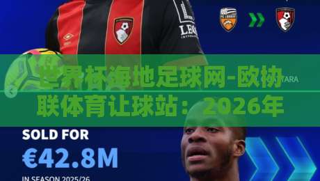 世界杯海地足球网-欧协联体育让球站：2026年赛事预测与盘口深度解析