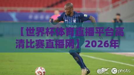 【世界杯体育直播平台高清比赛直播网】2026年，哪家平台让你告别卡顿？