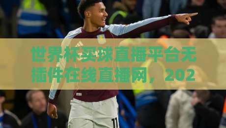 世界杯买球直播平台无插件在线直播网，2026年球迷必备的高清观赛指南
