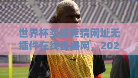 世界杯买球竞猜网址无插件在线直播网，2026年观赛新体验（球迷必看）