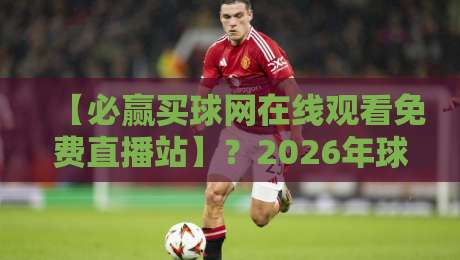 【必赢买球网在线观看免费直播站】？2026年球迷必备的观赛神器全解析