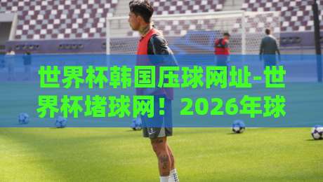 世界杯韩国压球网址-世界杯堵球网！2026年球迷必看的安全观赛指南