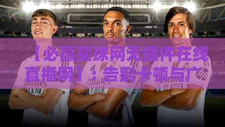 【必赢买球网无插件在线直播网】: 告别卡顿与广告，2026年球迷的终极观赛指南