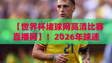 【世界杯堵球网高清比赛直播网】！2026年球迷必知的观赛与避坑指南