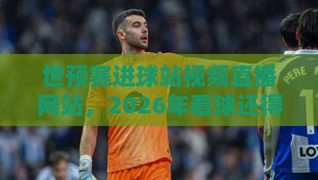 世预赛进球站视频直播网站，2026年看球还得是这仨平台！