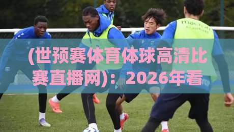 (世预赛体育体球高清比赛直播网)：2026年看球新姿势，满分体验不折腾