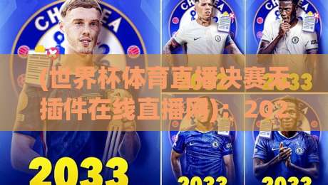 (世界杯体育直播决赛无插件在线直播网):2026年看球新姿势,告别卡顿与广告轰炸