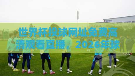 世界杯投球网址免费高清观看直播,2026年球迷必看的观赛渠道大揭秘!