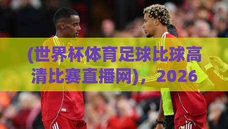 (世界杯体育足球比球高清比赛直播网)，2026年看球必备！这4个平台让你告别卡顿