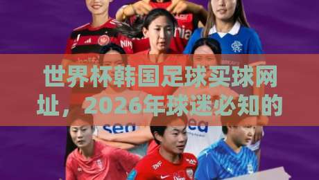 世界杯韩国足球买球网址，2026年球迷必知的风险与真相