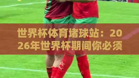 世界杯体育堵球站：2026年世界杯期间你必须知道的三个真相