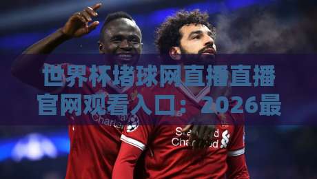 世界杯堵球网直播直播官网观看入口：2026最新通道与实用指南