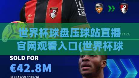 世界杯球盘压球站直播官网观看入口(世界杯球盘压球站直播官网观看入口)：2026年最全避坑指南与实测入口