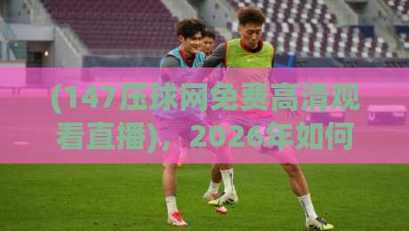 (147压球网免费高清观看直播)，2026年如何找到最流畅的高清体育直播？