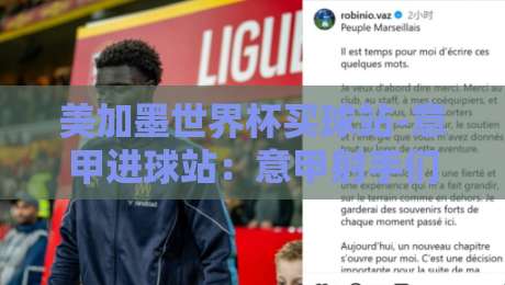 美加墨世界杯买球站-意甲进球站：意甲射手们，2026世界杯押谁？