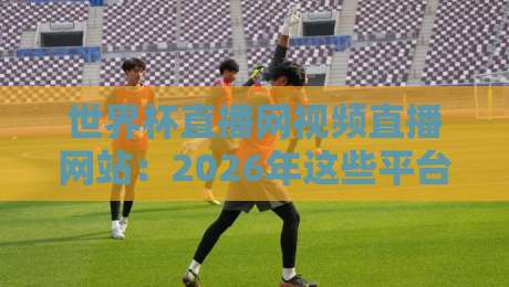 世界杯直播网视频直播网站：2026年这些平台让你免费畅享高清直播