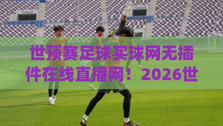 世预赛足球买球网无插件在线直播网！2026世预赛观赛新姿势(世预赛足球买球网)全面评测