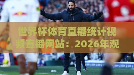 世界杯体育直播统计视频直播网站：2026年观赛新姿势与数据狂魔必备