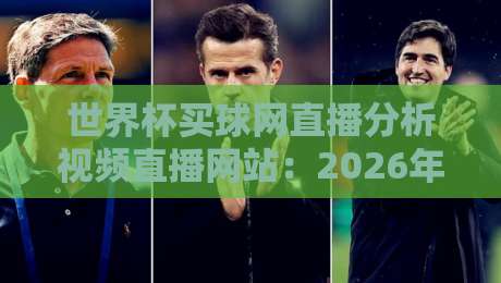 世界杯买球网直播分析视频直播网站：2026年世界杯观赛新体验