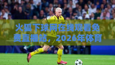 火狐下球网在线观看免费直播站，2026年体育迷的观赛新选择？