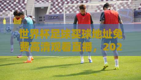 世界杯足球买球地址免费高清观看直播，2026年最新观赛指南来了！