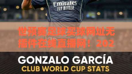 世预赛足球买球网址无插件在线直播网！2026年选对渠道比抢到票还重要