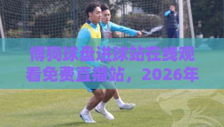博狗球盘进球站在线观看免费直播站，2026年观赛首选平台！