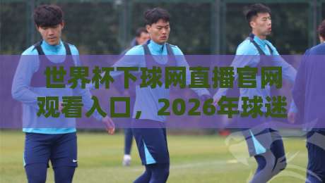 世界杯下球网直播官网观看入口，2026年球迷必收的观赛指南