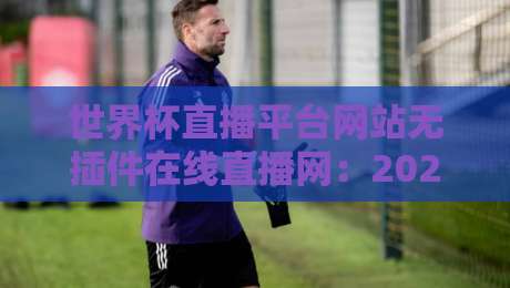 世界杯直播平台网站无插件在线直播网：2026年观赛指南，告别卡顿与广告，畅享高清无延迟