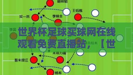 世界杯足球买球网在线观看免费直播站，【世界杯足球买球网在线观看免费直播站】观赛体验大揭秘