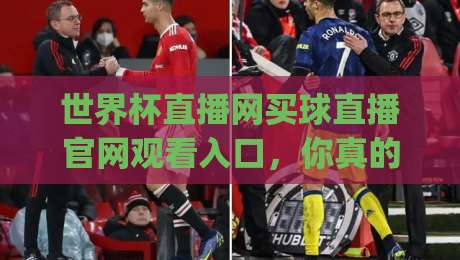 世界杯直播网买球直播官网观看入口,你真的会找吗?(世界杯直播网买球直播官网观看入口)2026年最新观赛渠道与实用避坑指南