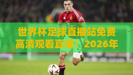 世界杯足球直播站免费高清观看直播!2026年最新观赛指南【世界杯足球直播站免费高清观看直播】