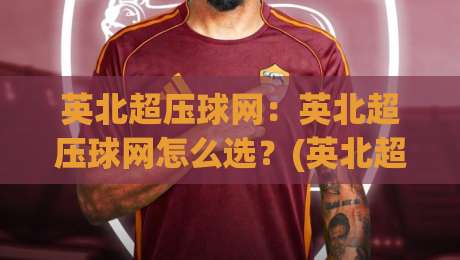 英北超压球网：英北超压球网怎么选？(英北超压球网)耐用性与弹性实测分享【英北超压球网】-今晚靠谱最火买球站预选竞投论坛720P集锦软件