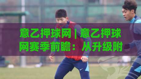 意乙押球网 | 意乙押球网赛季前瞻：从升级附加赛格局看意乙押球网的战术风向-今日最新外围比球网预测免安装走势频道英文解说反波胆