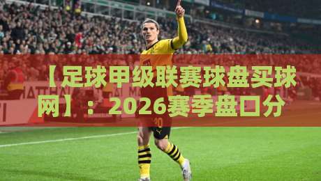 【足球甲级联赛球盘买球网】：2026赛季盘口分析与投注策略全攻略