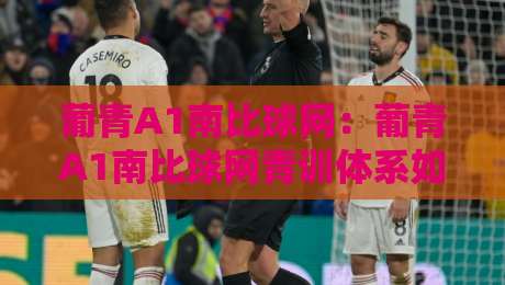 葡青A1南比球网：葡青A1南比球网青训体系如何重塑年轻球员成长路径？葡青A1南比球网背后的竞技逻辑-今晚靠谱最火堵球网指南蓝光低水无需注册观看解说