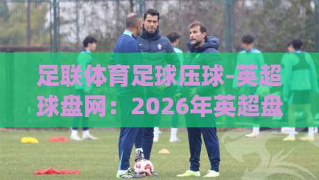 足联体育足球压球-英超球盘网：2026年英超盘口新玩法，你还在用老思路吗？(足联体育足球压球-英超球盘网)